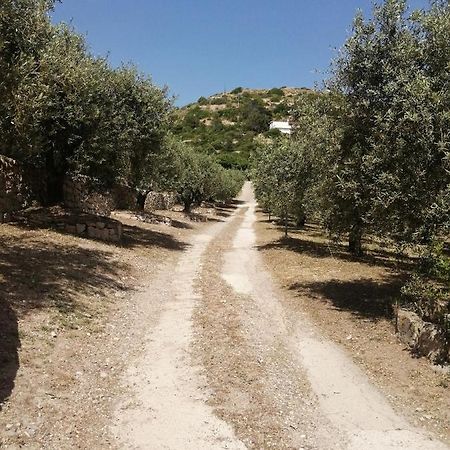 Monolocale Zona Mare Pisturri Apartman Magomadas Kültér fotó